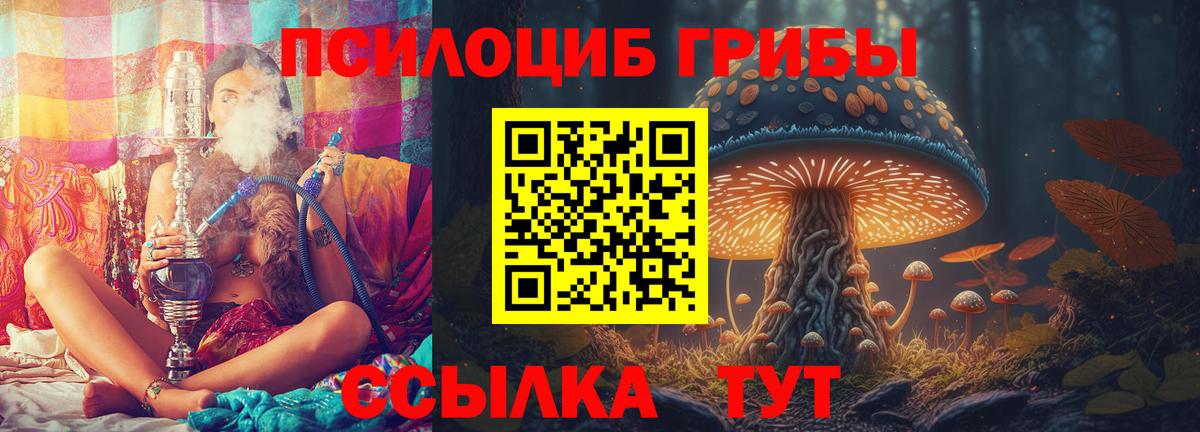 Галлюциногенные грибы мухоморы  Псилоцибиновые грибы мицелий  Калач-на-Дону  Вход с VPN 